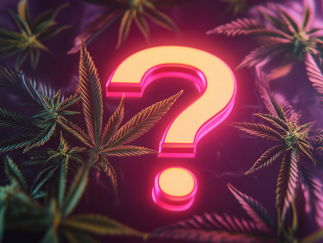 Är cannabis lagligt i Sverige 2025 – aktuell juridisk översikt
