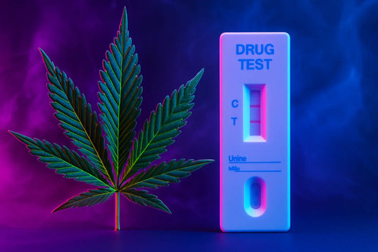 THCA och drogtest – hur länge stannar det i kroppen