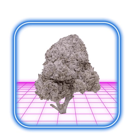 THCA Buds - OG Kush 24% - HiMood.se - HiMood