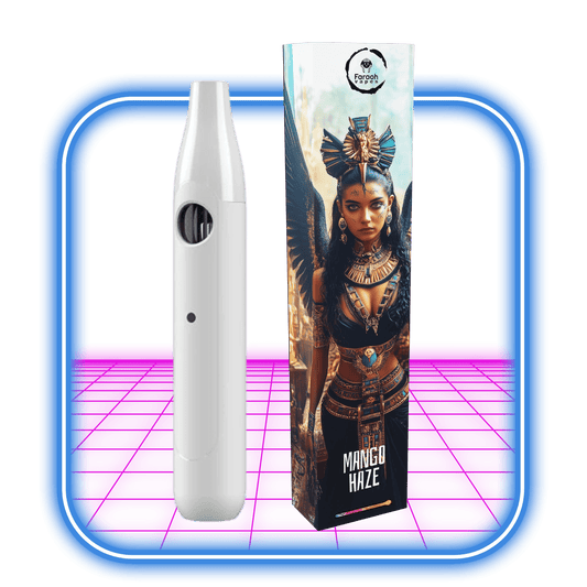 En svart THCB + THCHO vape-penna sitter bredvid en lila låda märkt Mango_Haze_Hybrid. Egyptiska mönster, inklusive en farao och en ankh, pryder lådan. Båda föremålen visas på en levande neonrosa och blå bakgrund.
