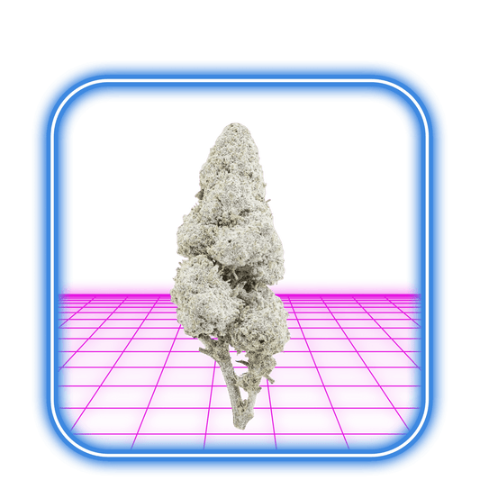 THCA Buds - Sapphire OG 23%