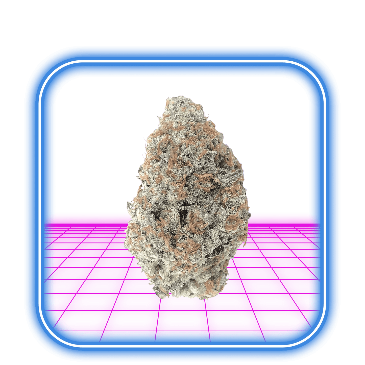 THCA Buds - Tropical Haze 23% - 5g
