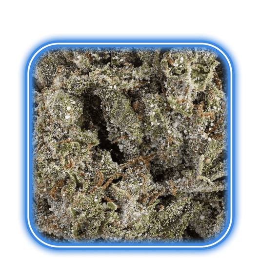 En närbild av HiMoods THCA-knoppar - Bangkok Sativa 22% (5g), frostiga och trikomrika, presenterade i en fyrkantig behållare med blå kanter.