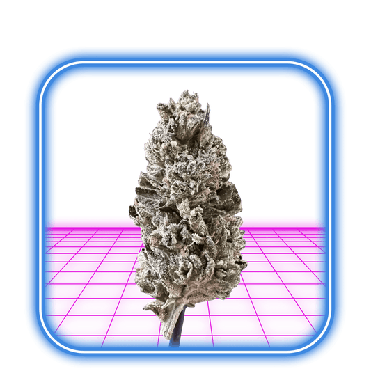 THCA Buds - Purple Candy 24% - HiMood.se - HiMood