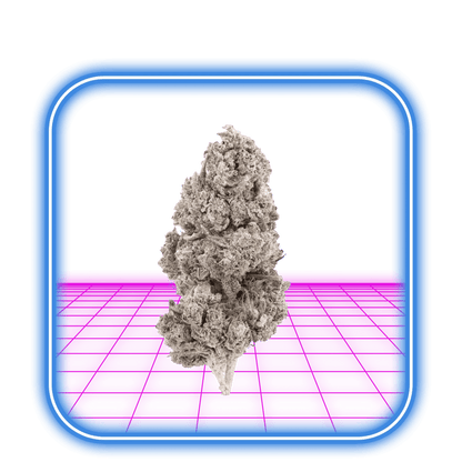 THCA Buds - Mango Kush 24% - HiMood.se - HiMood