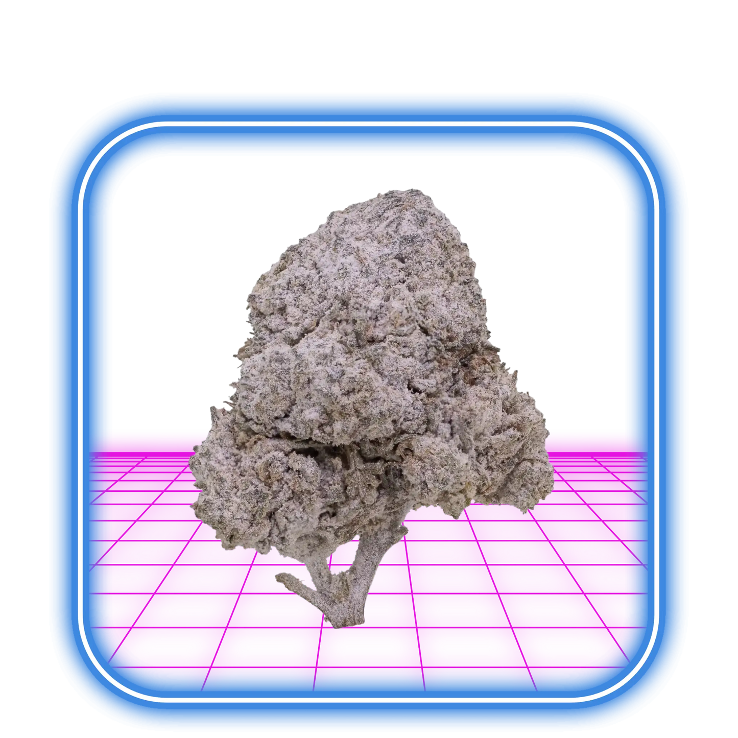 THCA Buds - OG Kush 24%