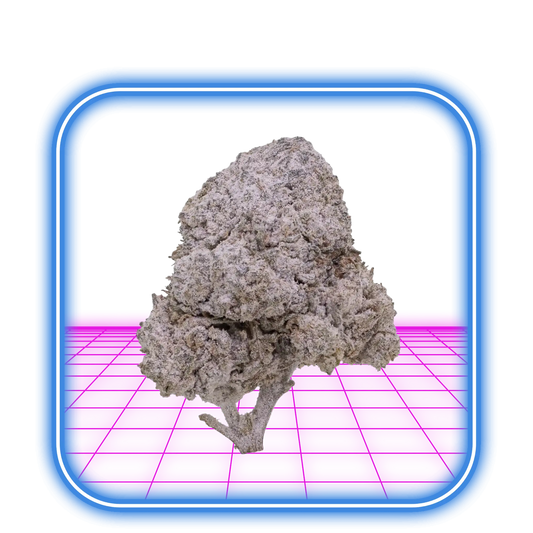 THCA Buds - OG Kush 24%