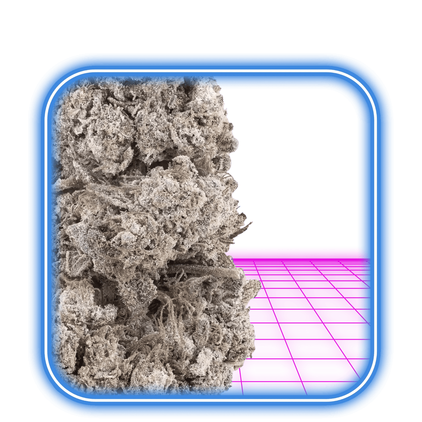 THCA Buds - Mango Kush 24% - HiMood.se - HiMood