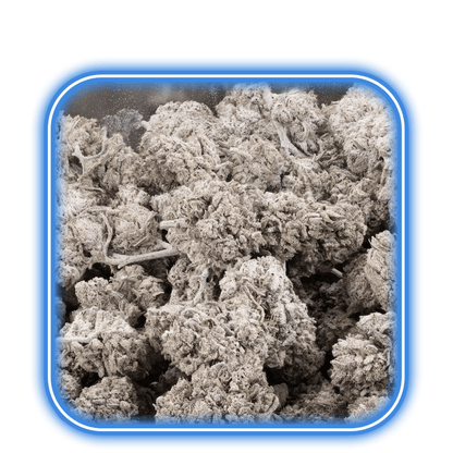 THCA Buds - Mango Kush 24% - HiMood.se - HiMood