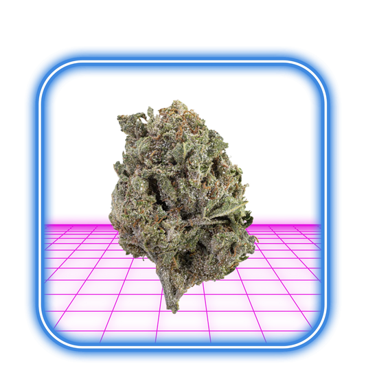 En närbild av en Flying Moose THCA Buds (COATED) - Bangkok Sativa 15% - 5g visar frostiga trikomer mot en digital rosa och lila bakgrund med en blå kant, vilket framhäver dess rika innehåll av tetrahydrocannabinolsyra.